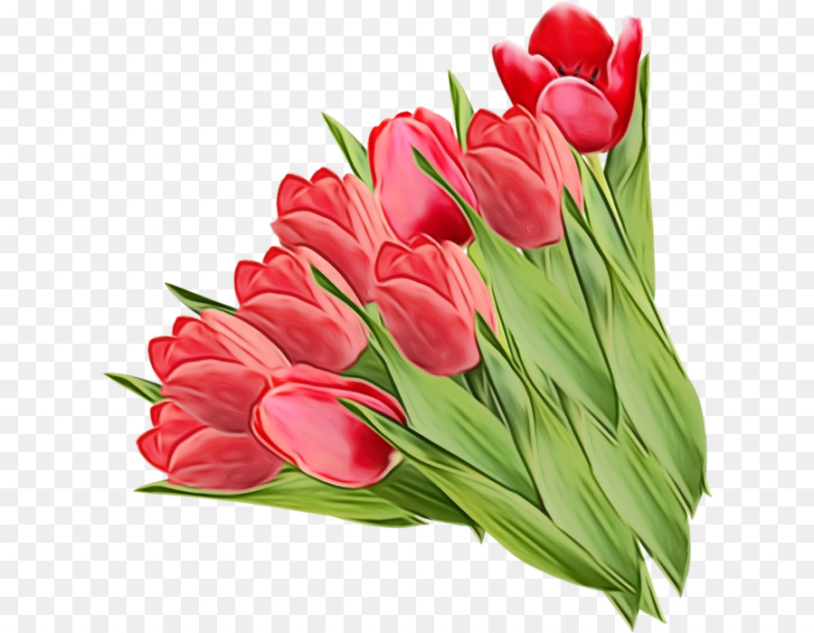 Tulipanes Rosados，Ramo PNG