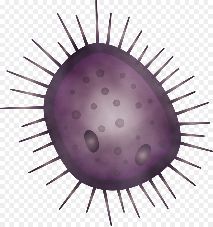 Morado，Ojo PNG