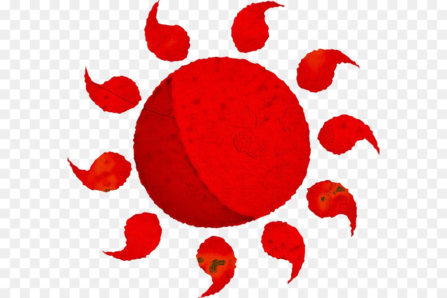 Rojo，Circulo PNG