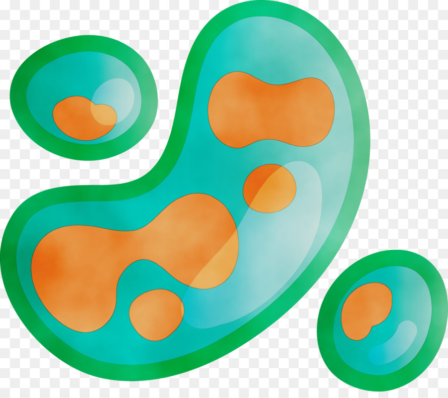 Bacterias，Células PNG