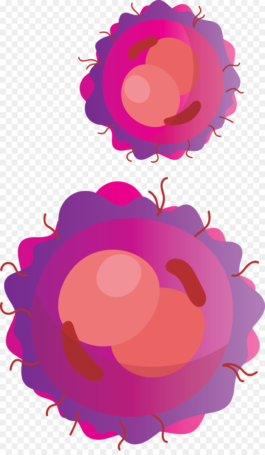 Rosa，Material Propiedad PNG