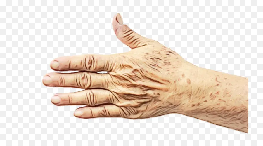 Dedo，De La Mano PNG