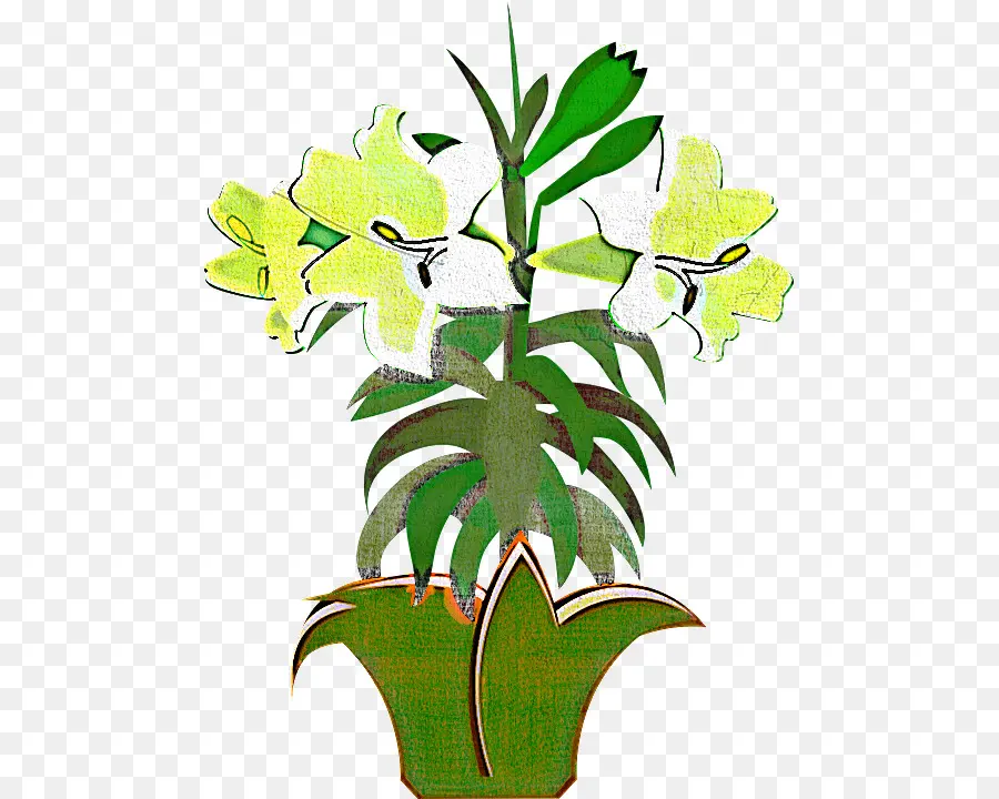 Flores En Maceta，Florecer PNG