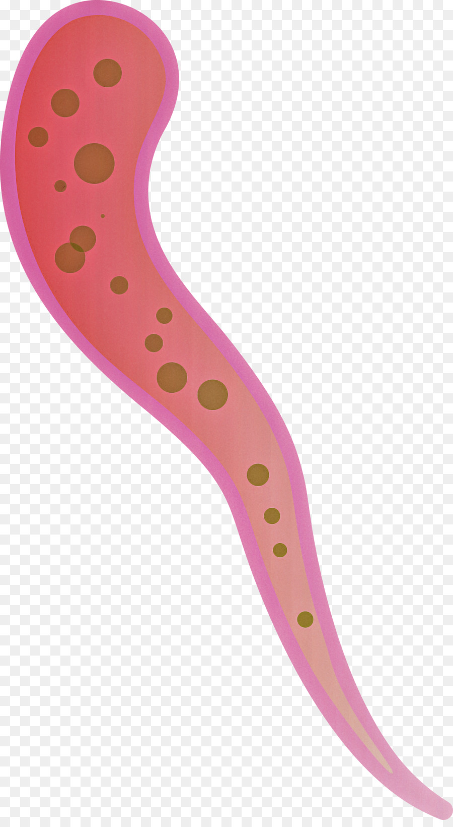 Gusano Rosa，Gusano PNG