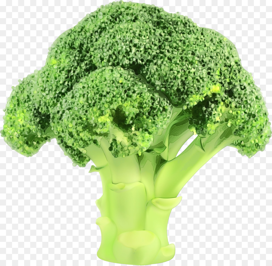 Brócoli，Verde PNG