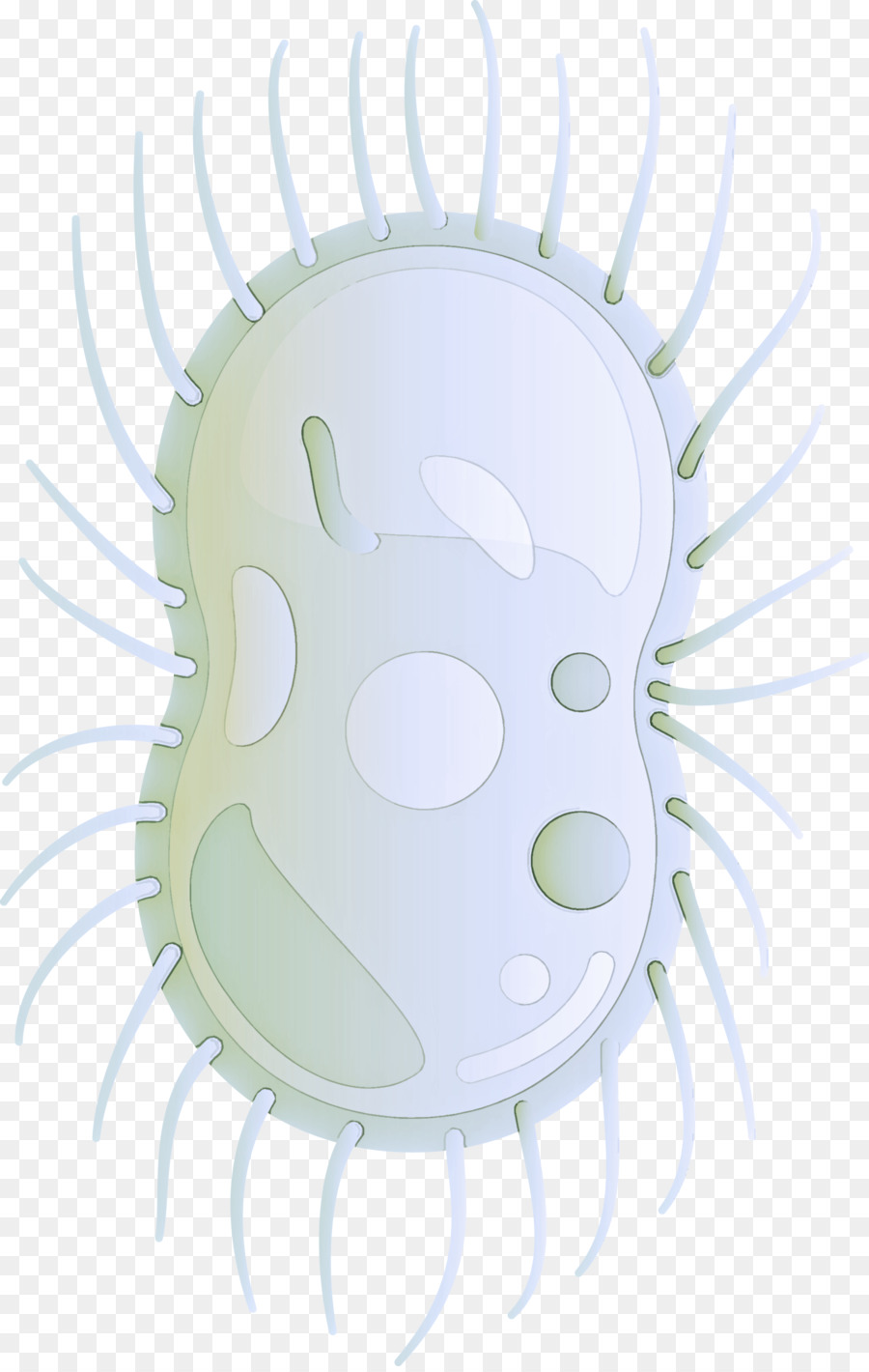 Bacteria，Verde PNG