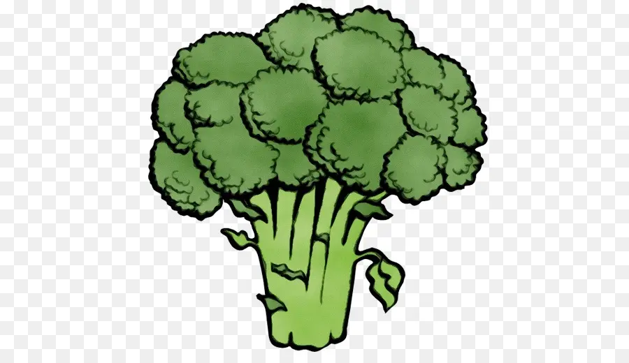 Brócoli，Vegetal De Hoja PNG
