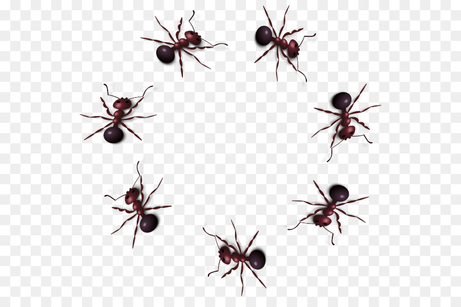 Los Insectos，De Plagas PNG