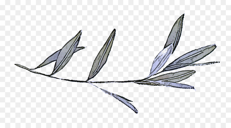 Hoja，Pluma PNG