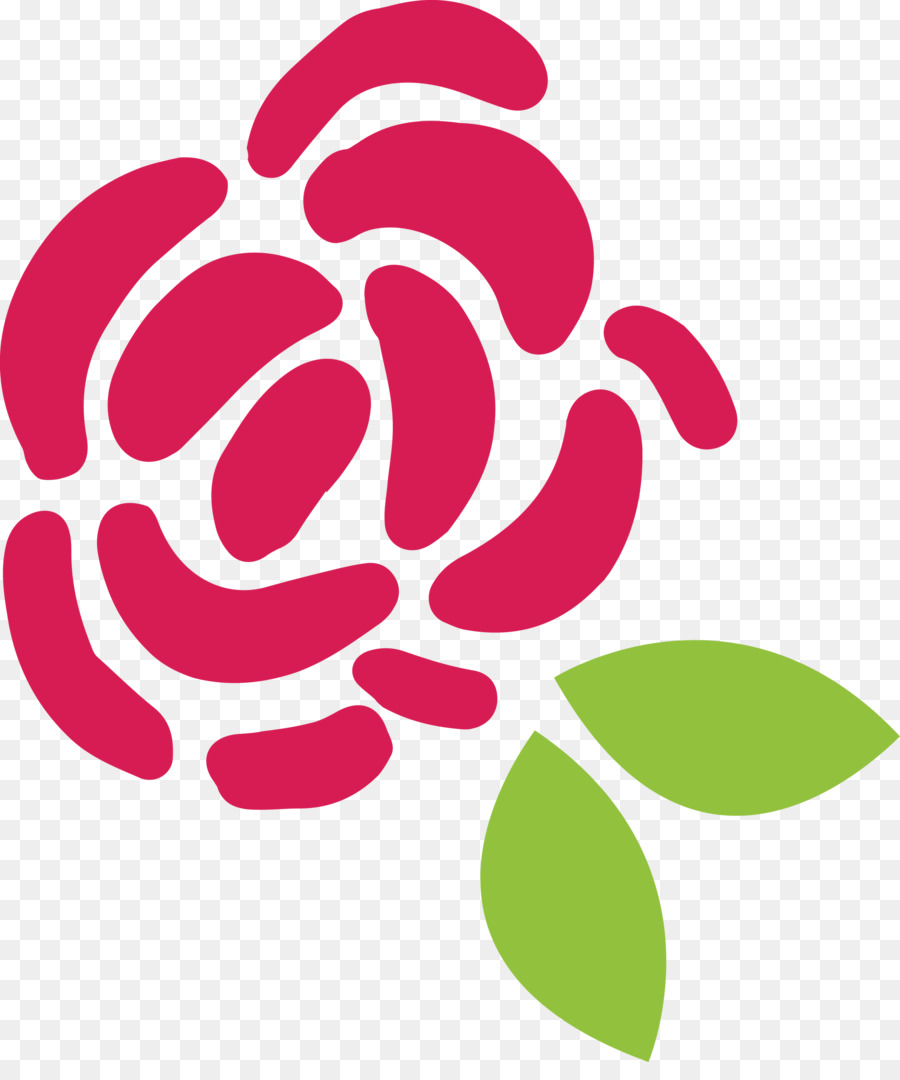 Rosa，Flor PNG