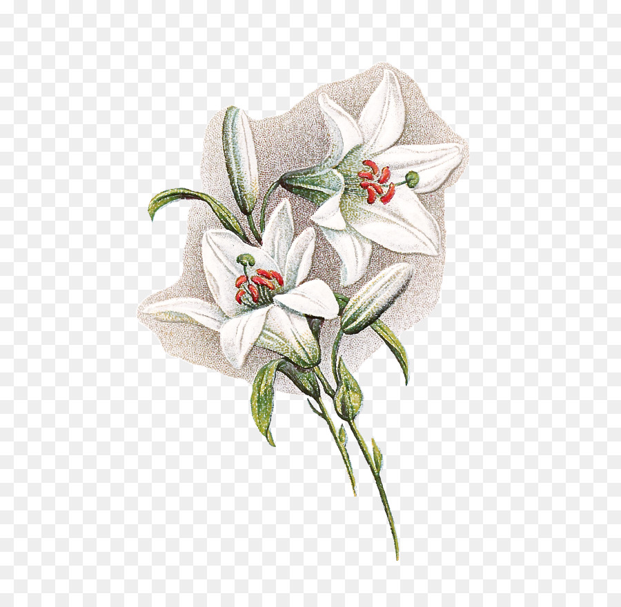 Las Flores Cortadas，Diseño Floral PNG