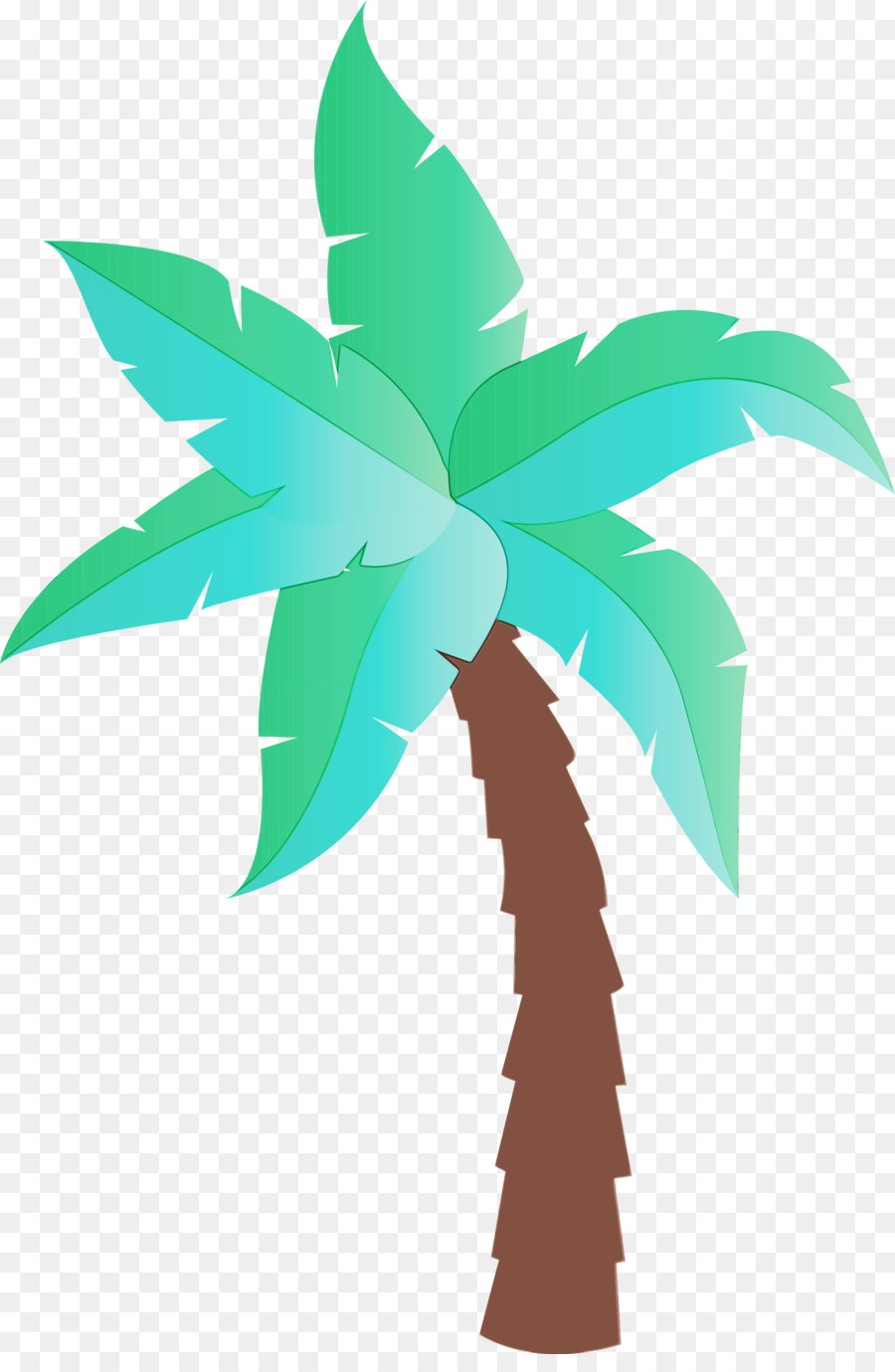 Agua De Coco，Coco PNG