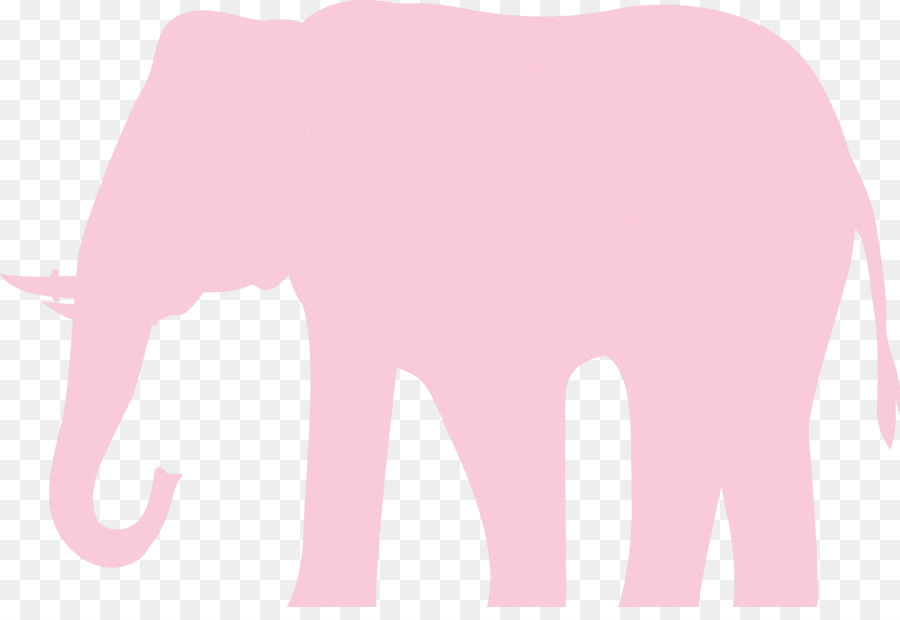 Elefante，Rosa PNG