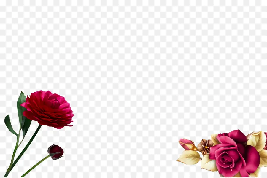 Flores，Rosas PNG