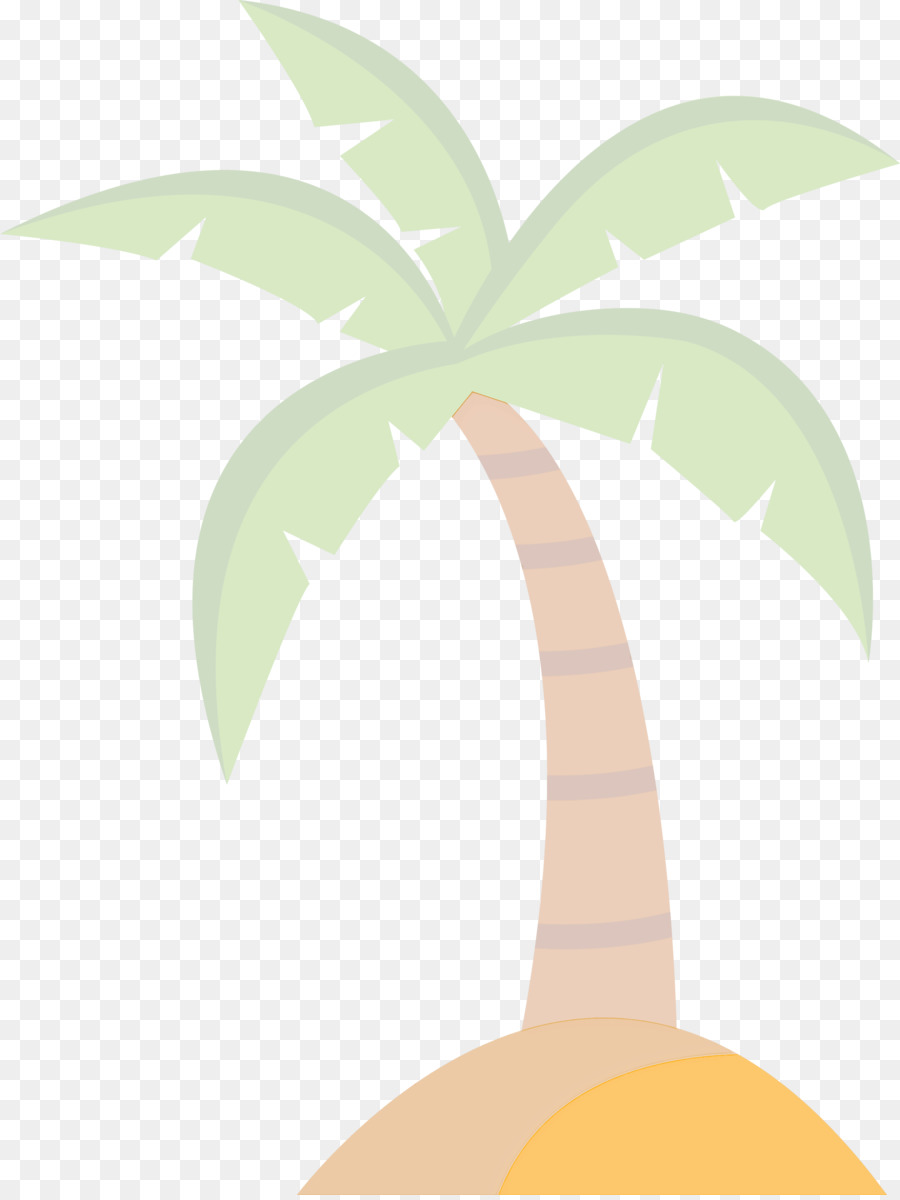 Palmera，Coco PNG