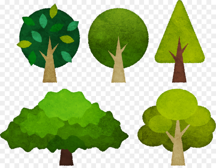 Tallo De La Planta，Árbol PNG