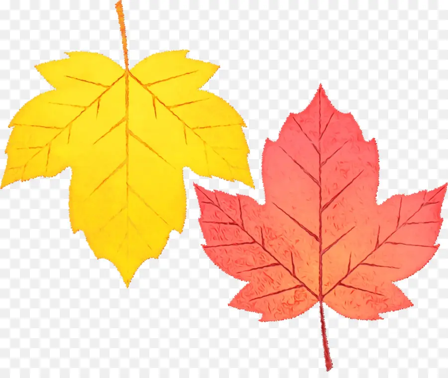 Hojas De Otoño，Caer PNG