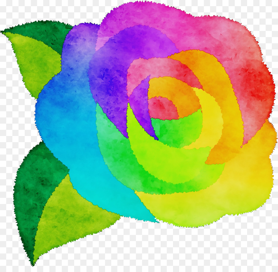 Rainbow Rose，Las Rosas De Jardín PNG