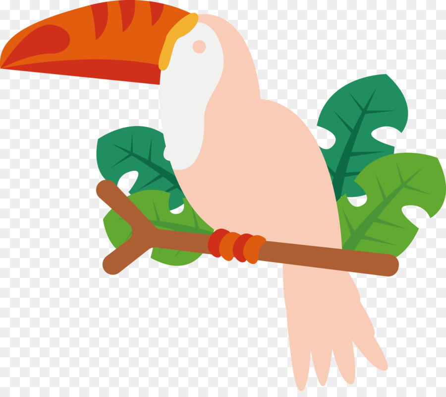 Pico，Aves PNG