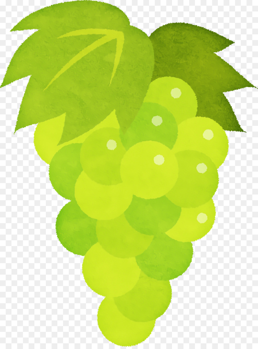 Uvas Verdes，Racimo PNG