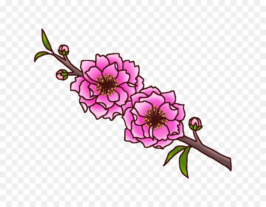 Flores Rosadas，Florecer PNG