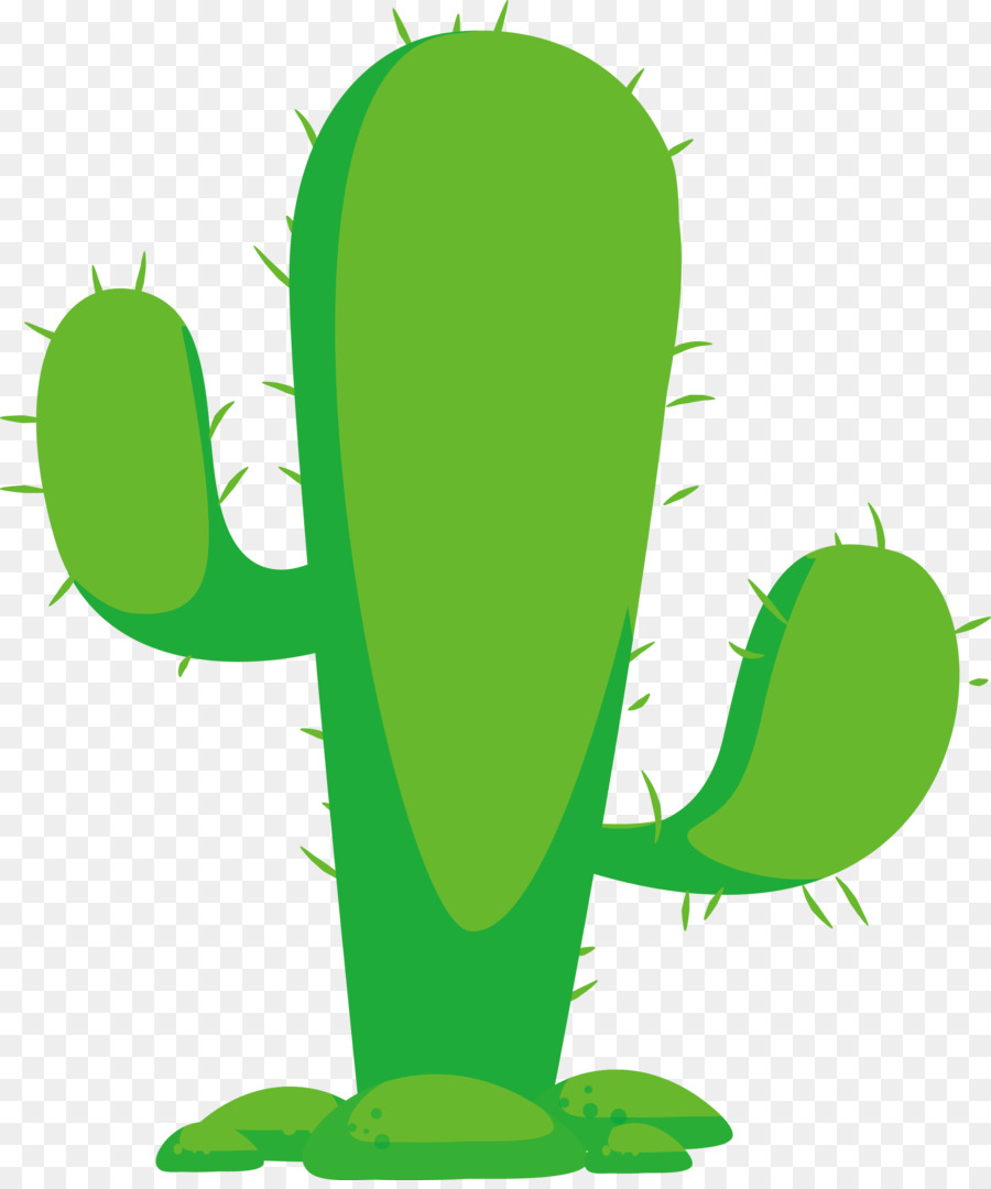 Cactus，Desierto PNG