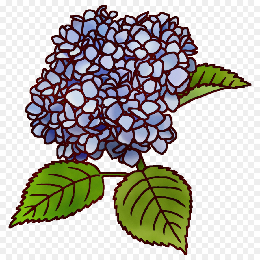 Diseño Floral，Tallo De La Planta PNG