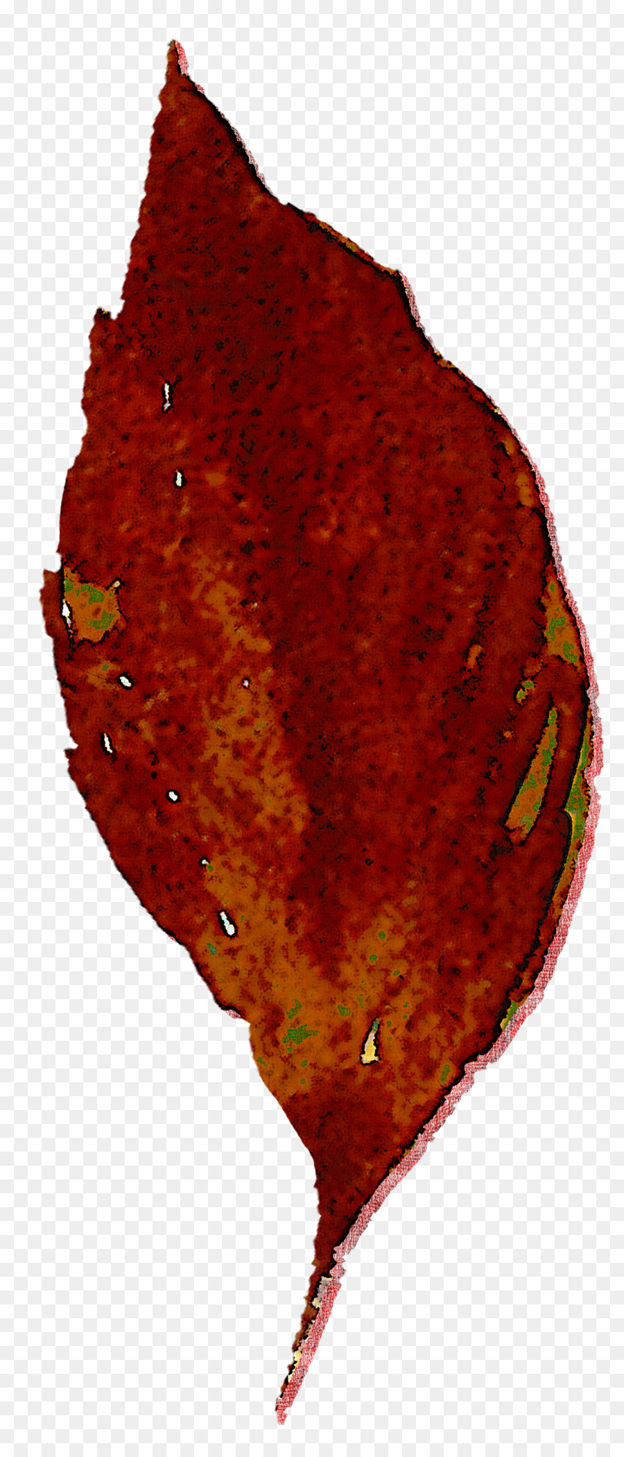 Hoja，Biología PNG