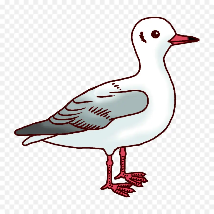 Pato，Pico PNG