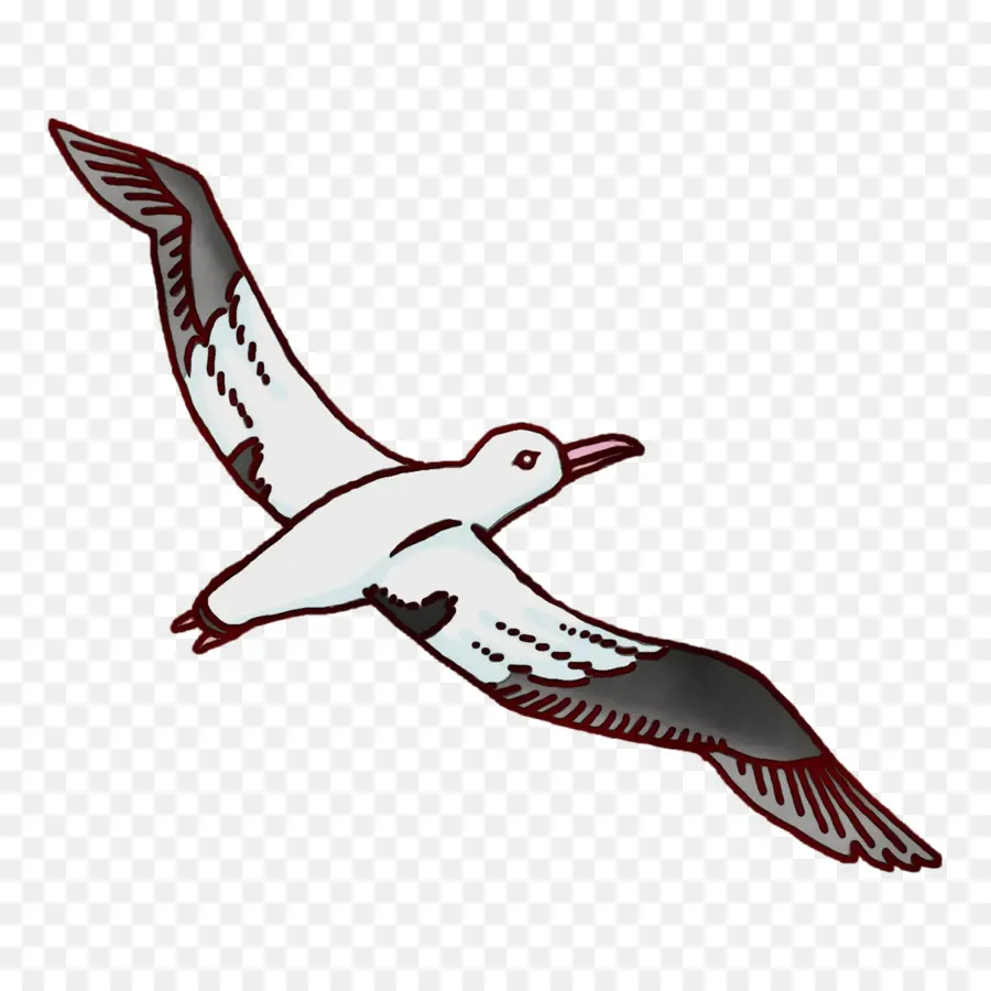 Pico，Las Aves Playeras PNG