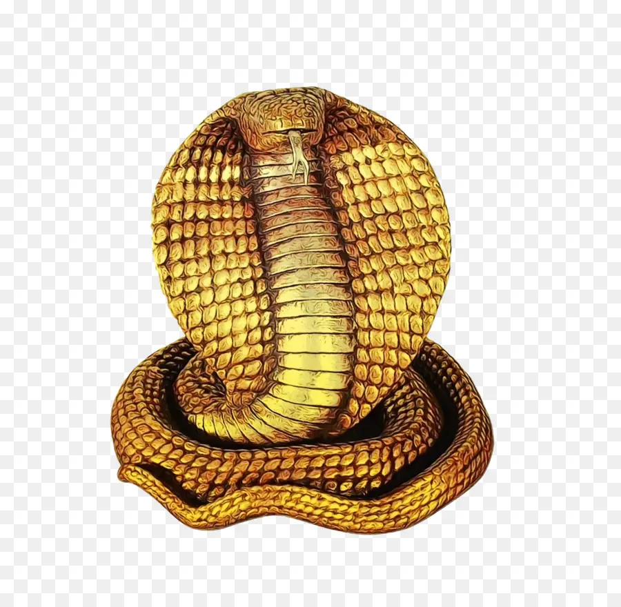 Serpiente，La Serpiente De Cascabel PNG