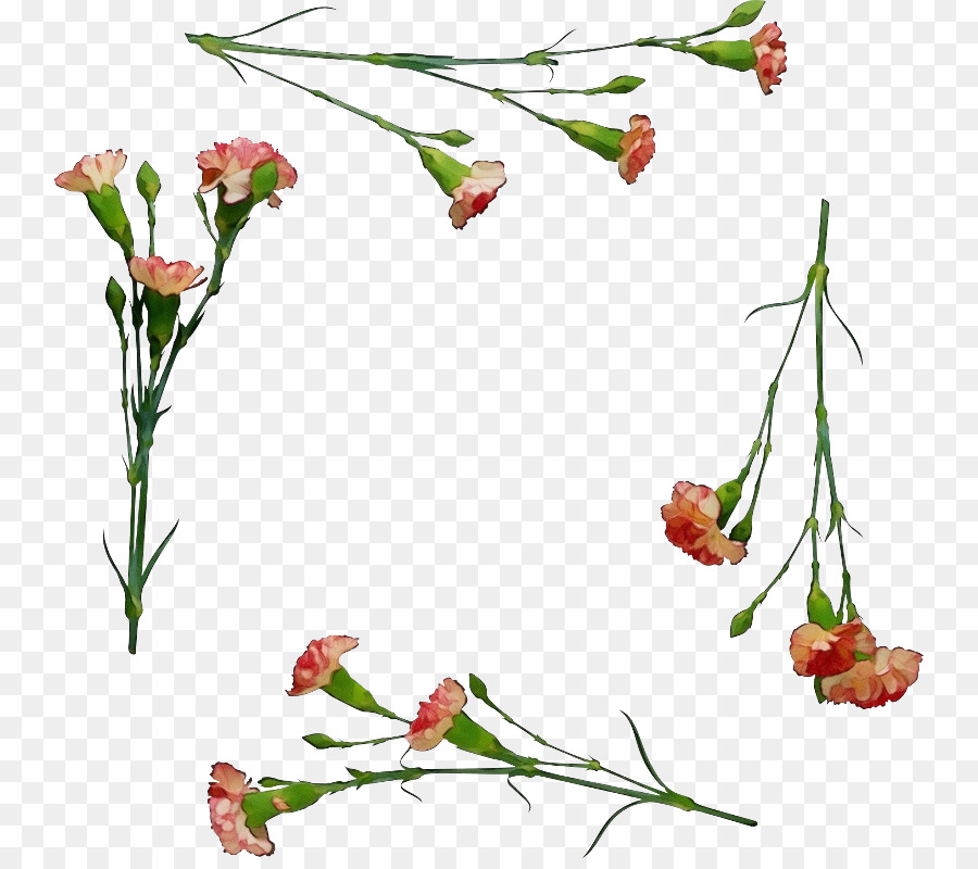 Diseño Floral，Tallo De La Planta PNG