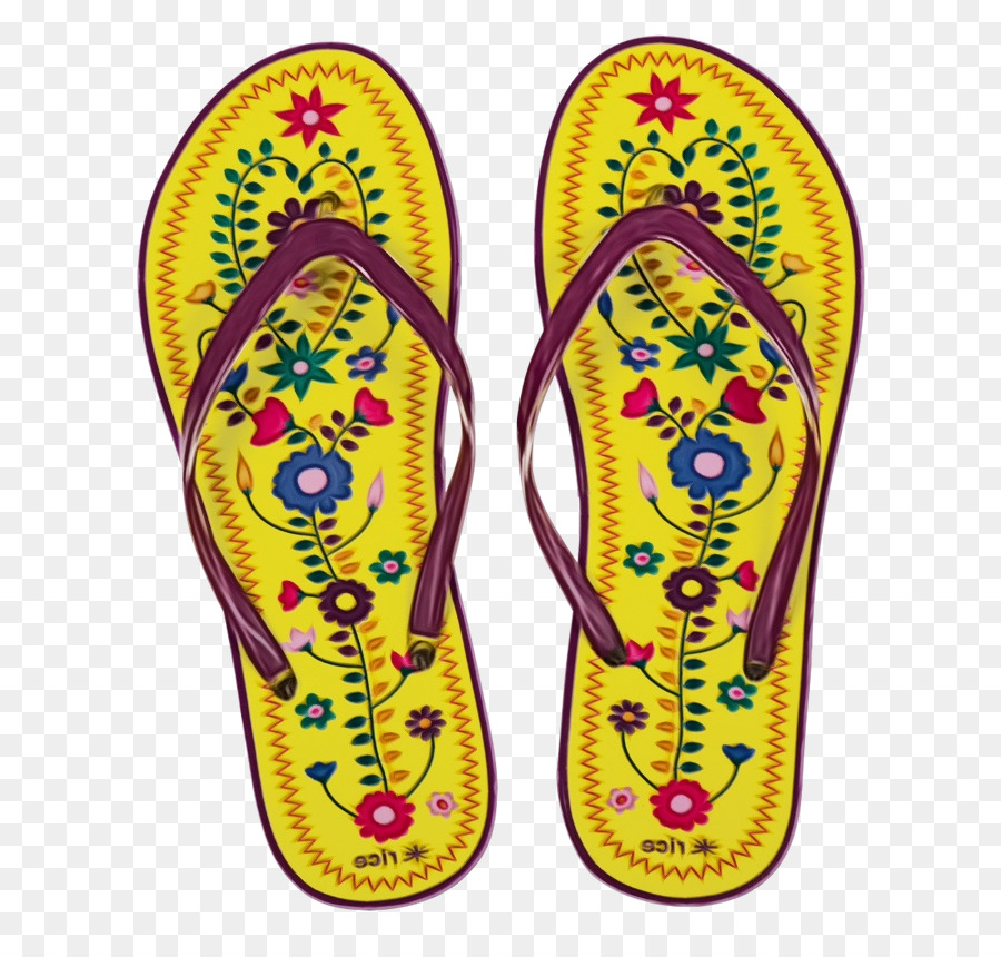 Chanclas，Zapato PNG