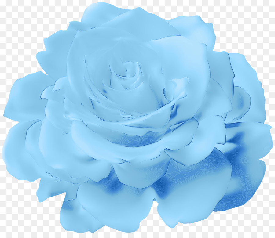 Rosa Azul，Pétalos PNG