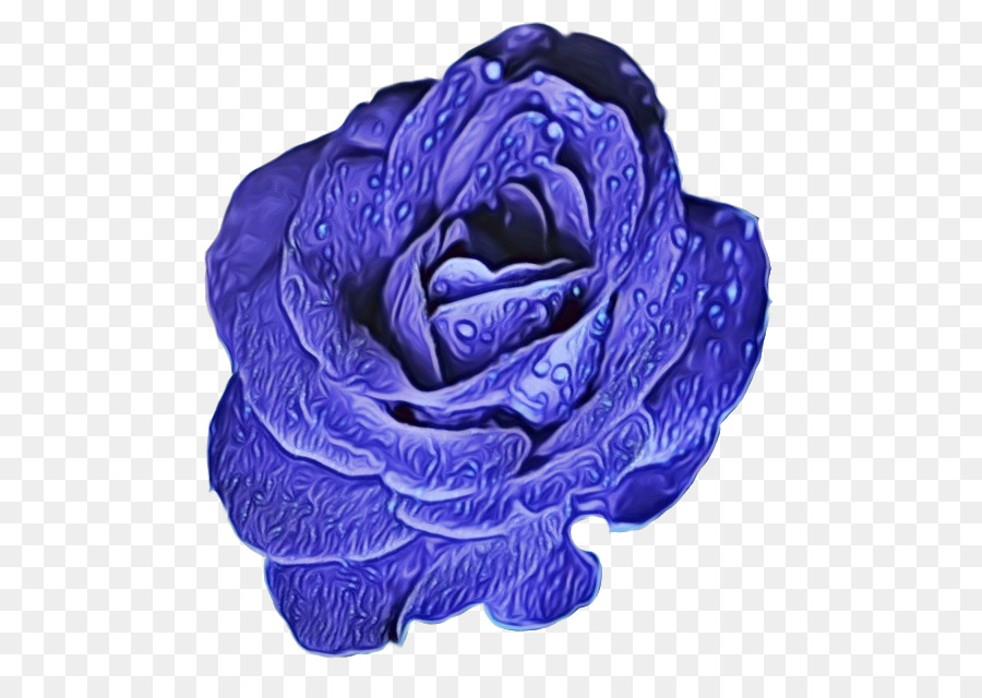 Las Rosas De Jardín，Rosa Azul PNG