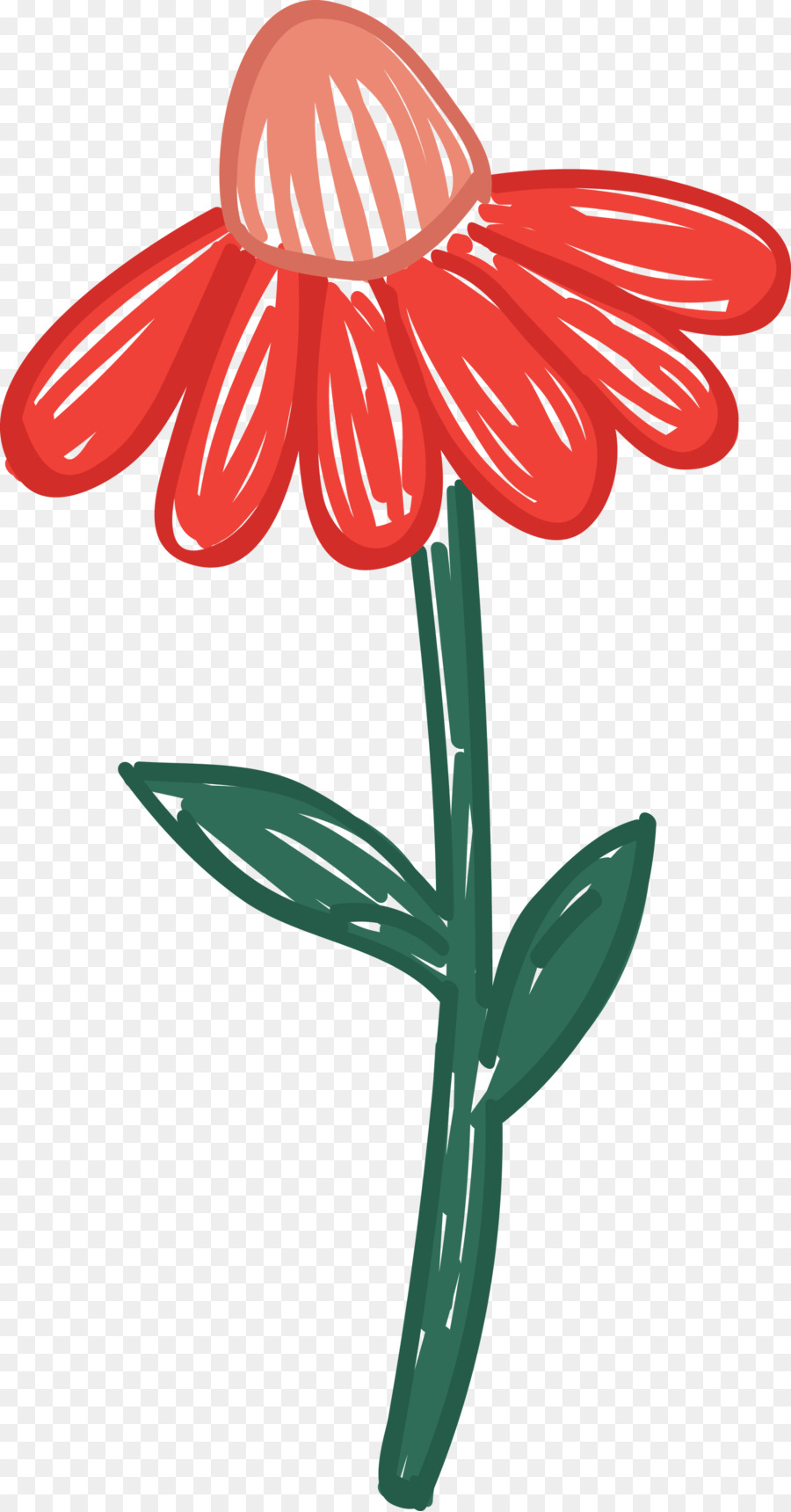 Flor，Rojo PNG