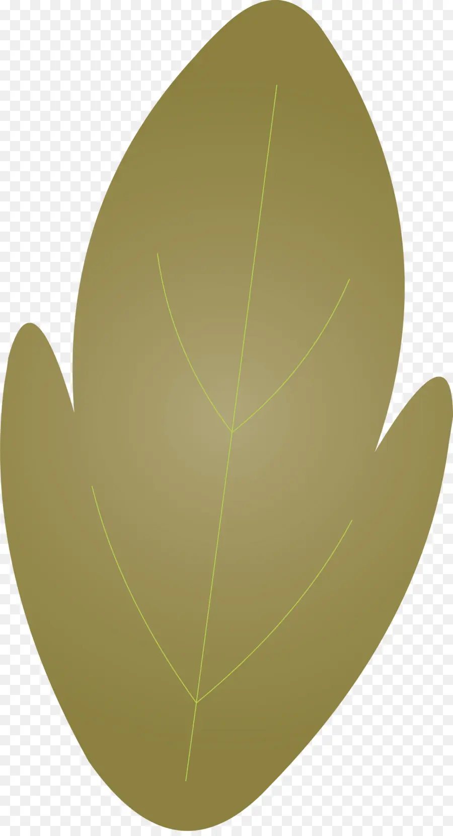 Hoja Marrón，Naturaleza PNG