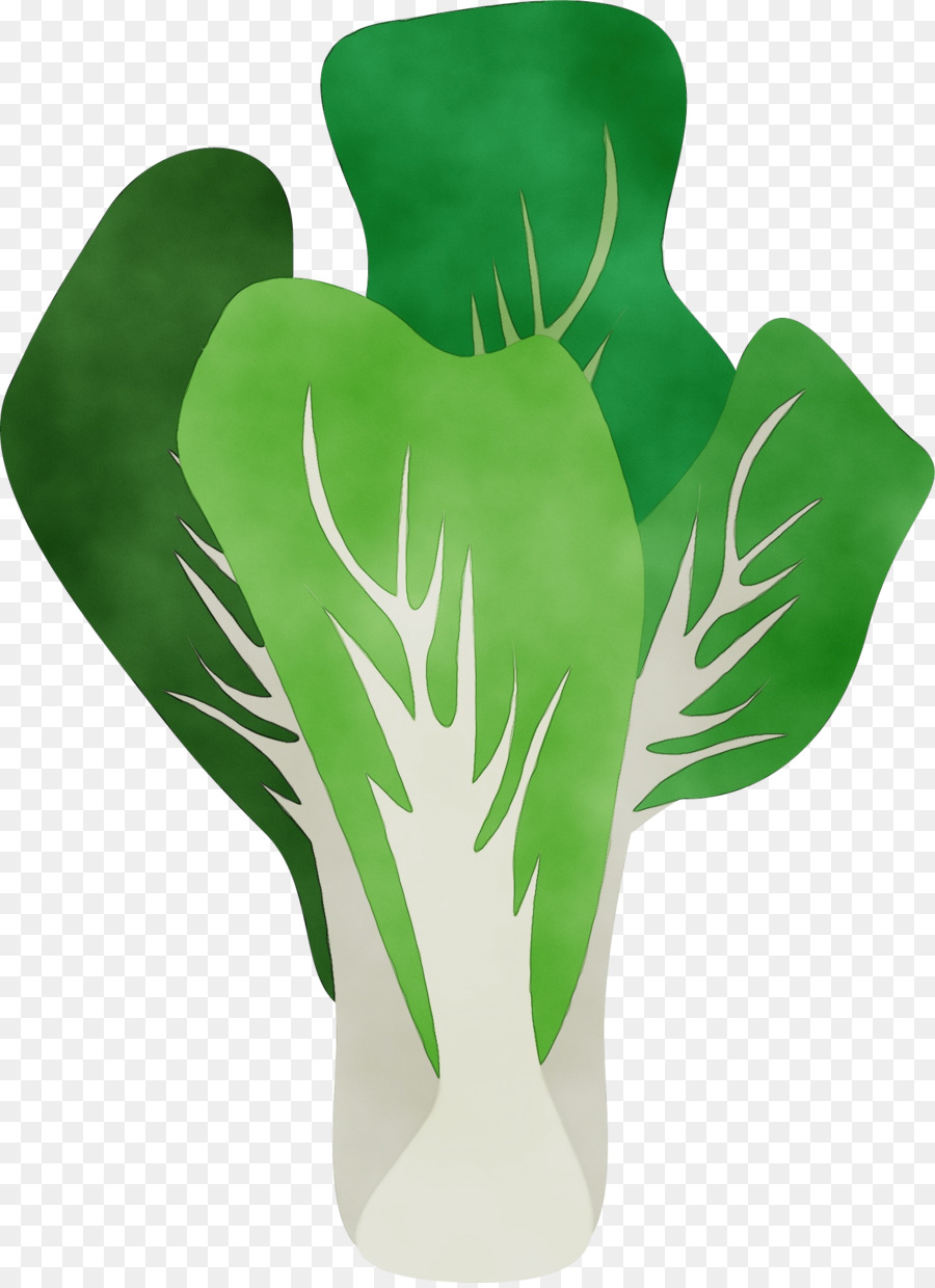 Pétalo，Florero PNG