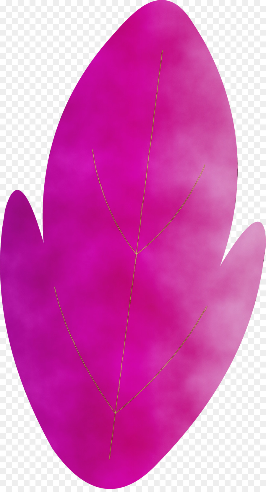 Hoja，Rosa M PNG