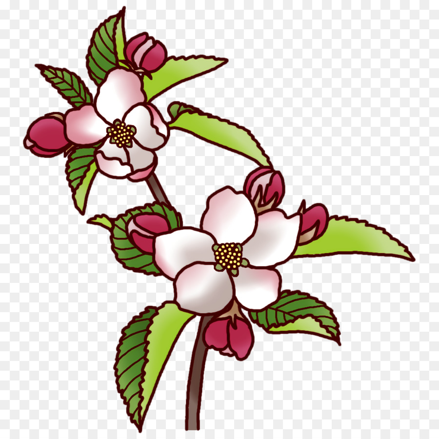 Diseño Floral，Tallo De La Planta PNG