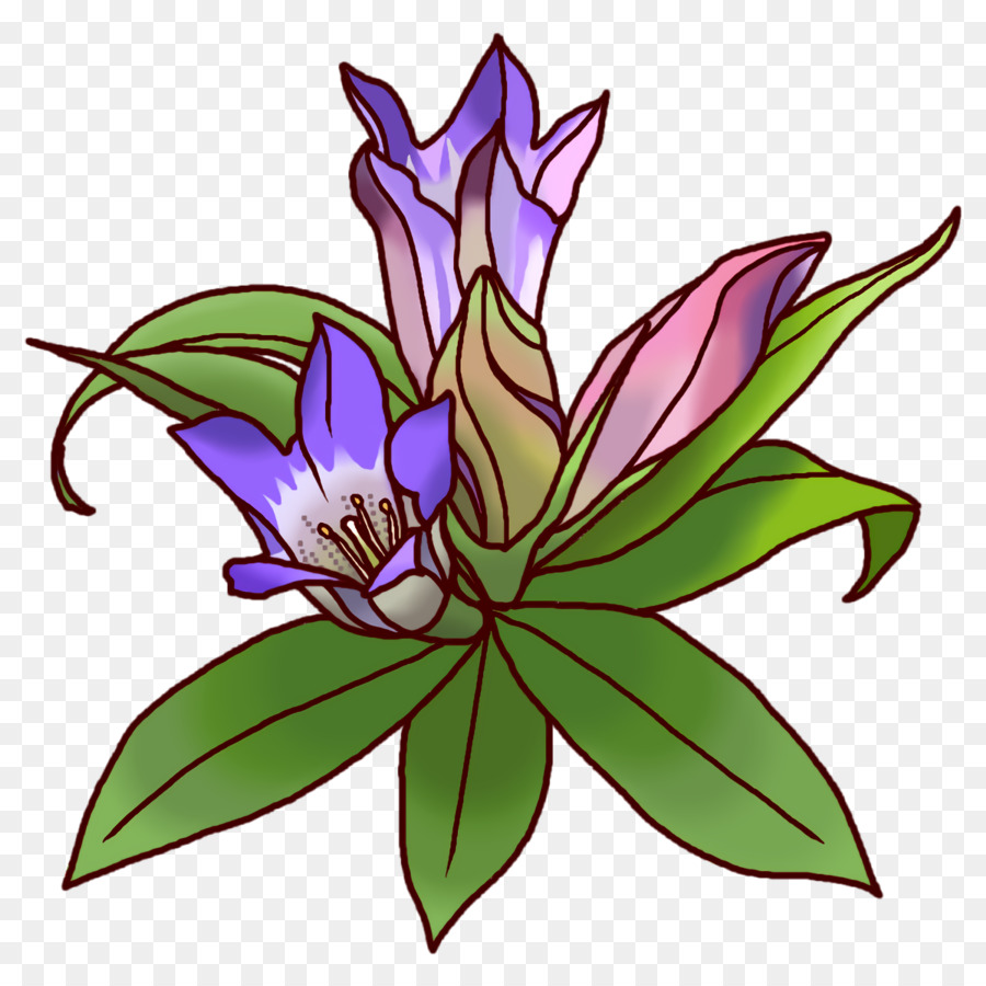 Nagano，Gentiana Scabra PNG