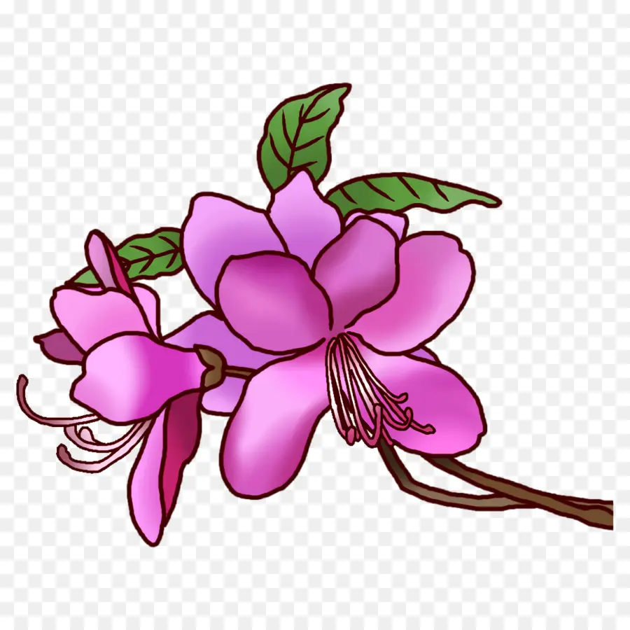 Diseño Floral，Tallo De La Planta PNG