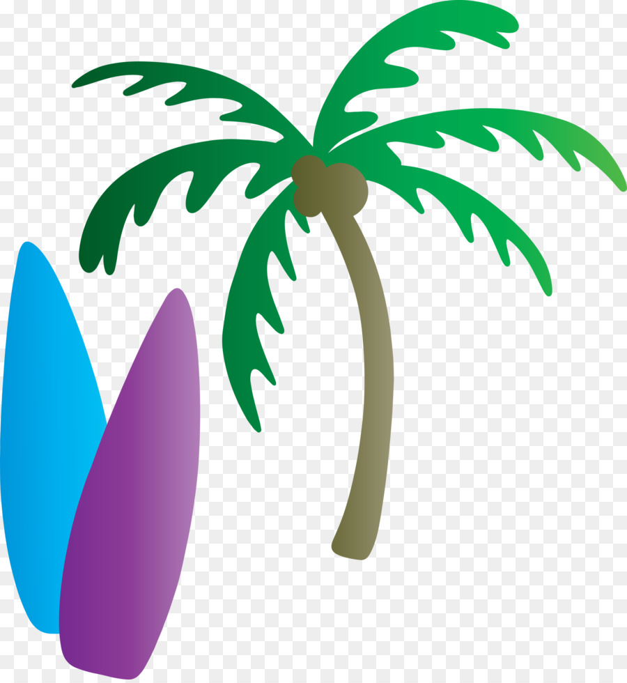 Palmera，Tropical PNG