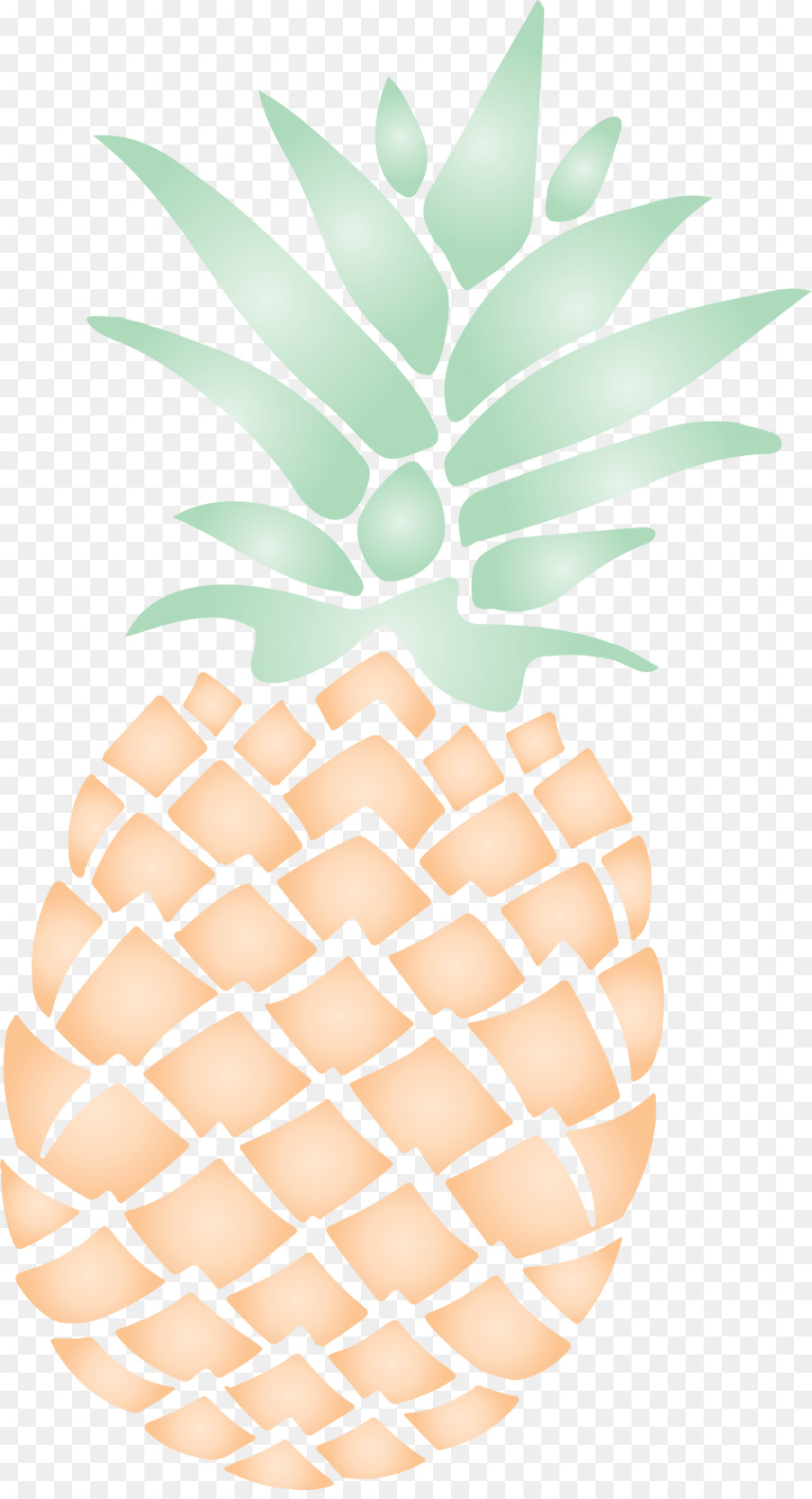 Piña，Tropical PNG