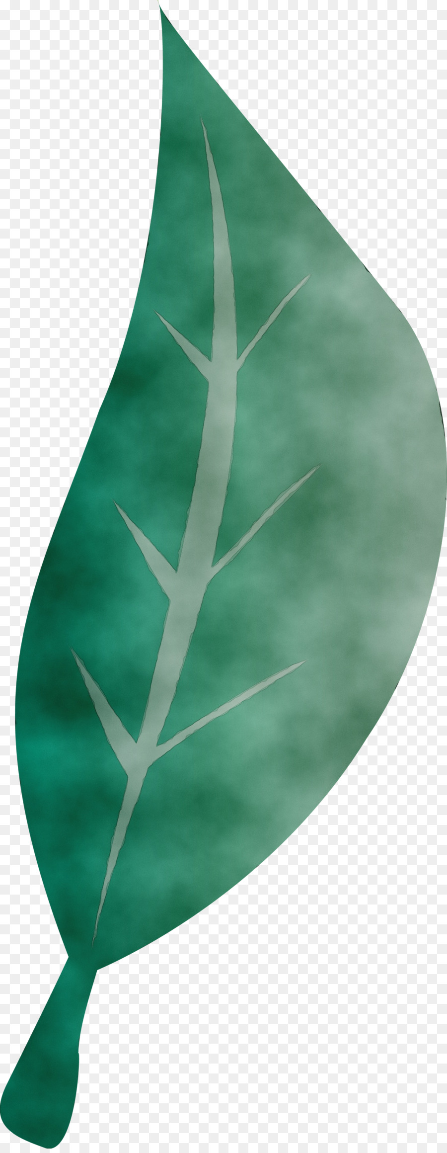 Hoja，Verde PNG