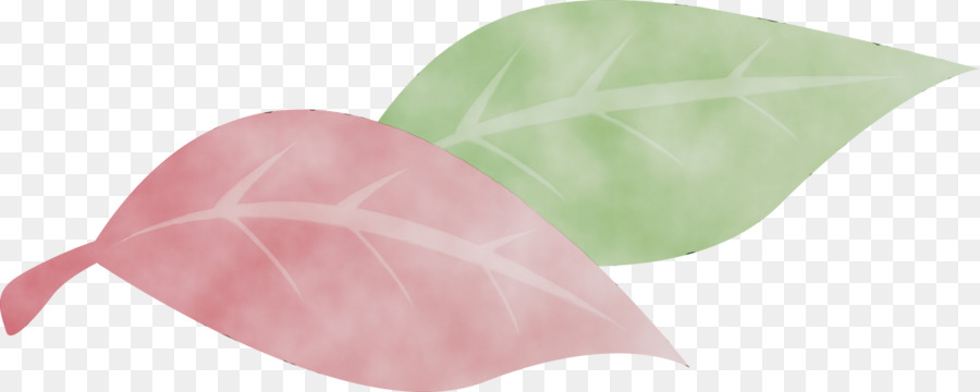 Hoja，Rosa M PNG