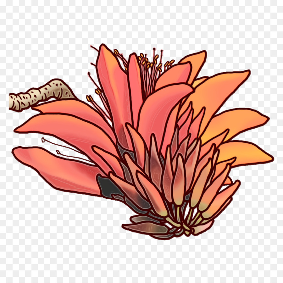 Diseño Floral，Flor PNG