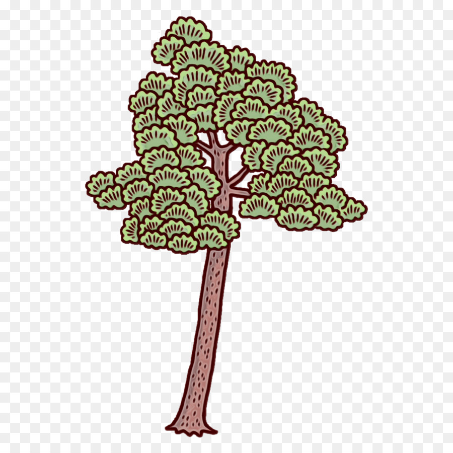 Árbol，Tallo De La Planta PNG