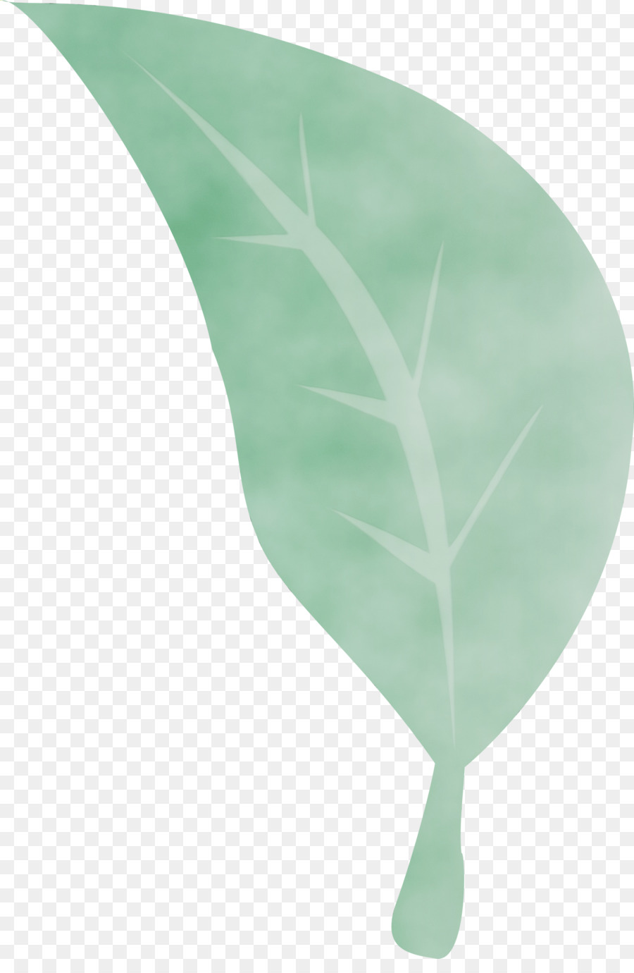 Hoja，Planta PNG