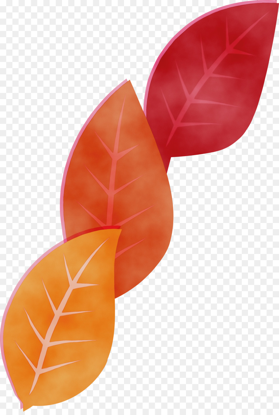 Hoja，Árbol PNG